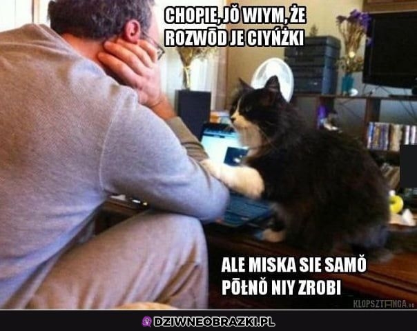 Chopie
