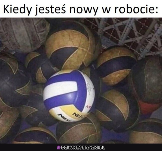 Potem do nich dołączy