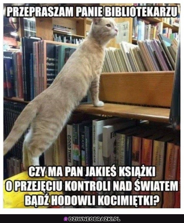 Ma pan jakieś na ten temat?