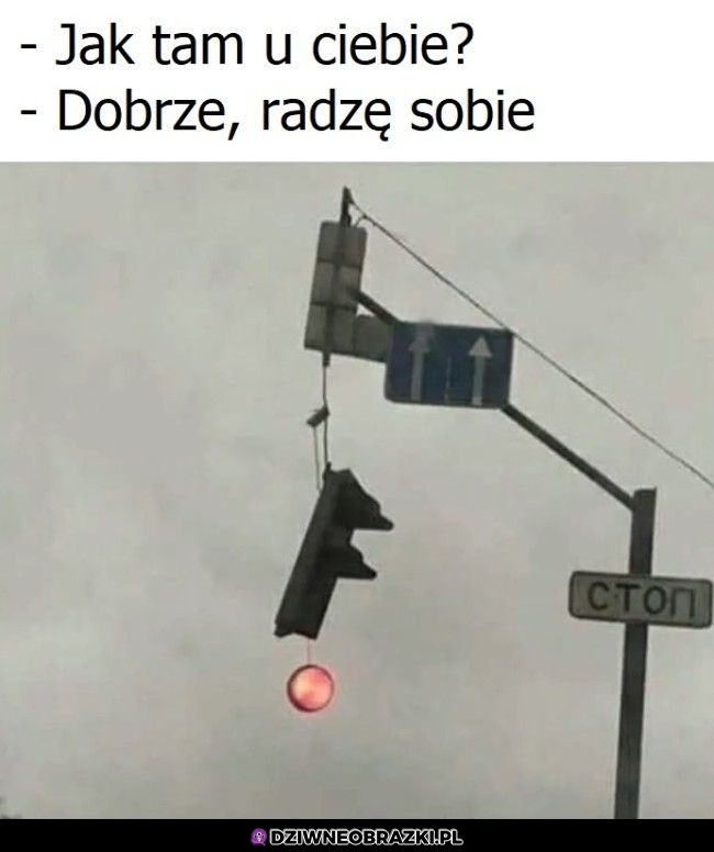 Tak wyglądam