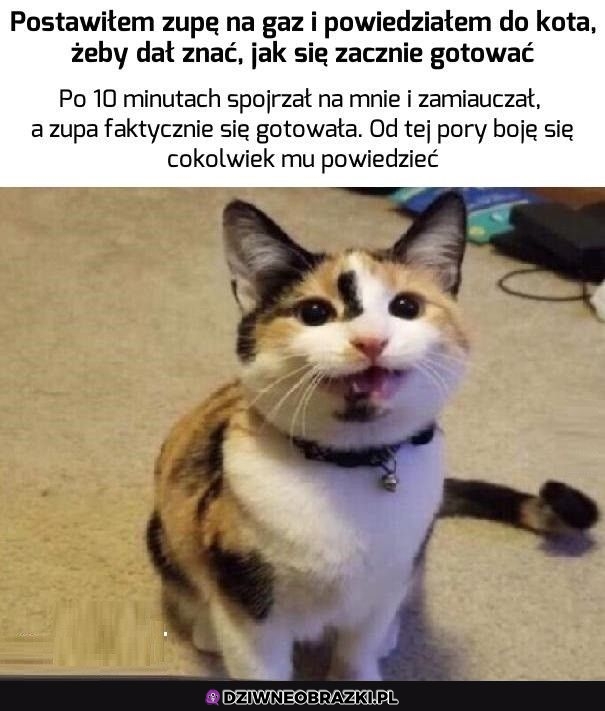 Ogarnął temat