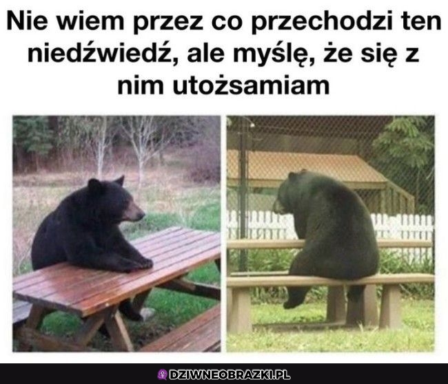 Też to czuję