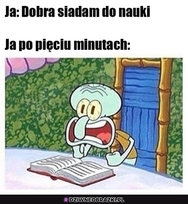 Kiedy siadam do nauki