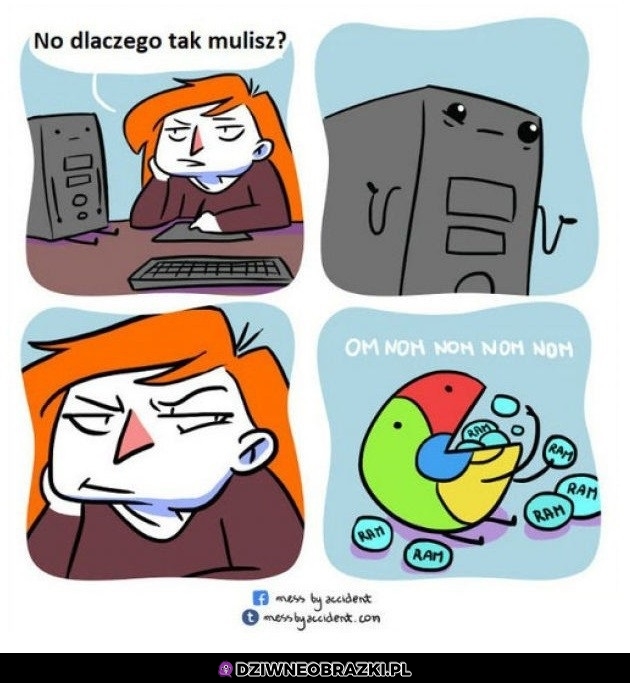 Dlaczego muli?