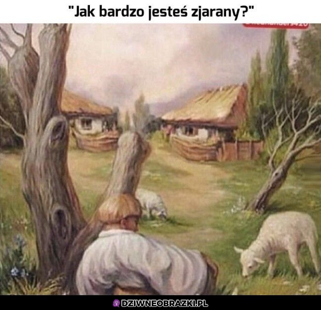 Tak bardzo