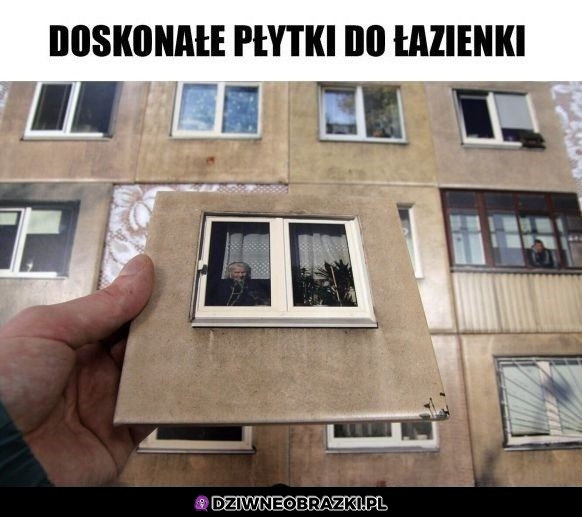 Najlepsze płytki