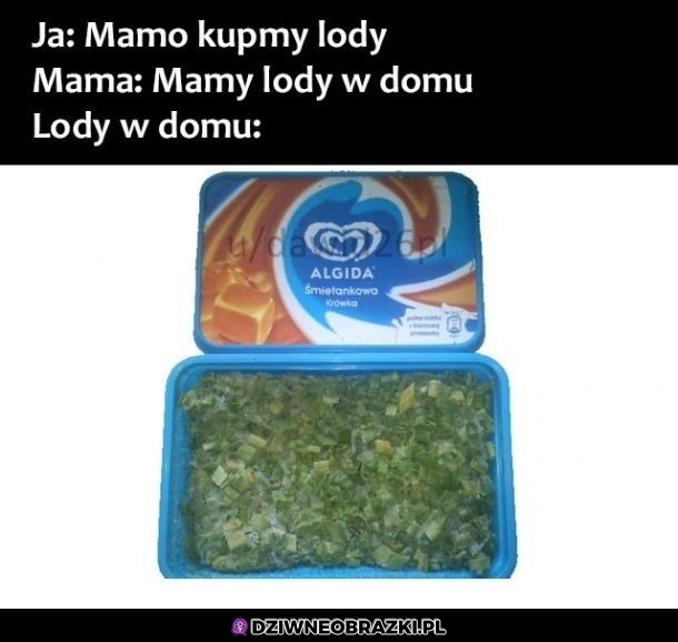 Lody w domu