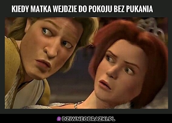 A ty właśnie pukasz