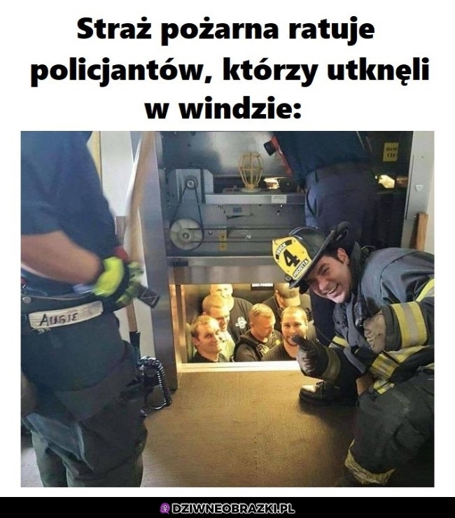 Ta radość