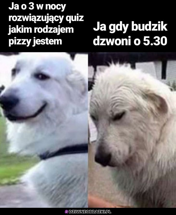 Kiedy zadzwoni budzik...