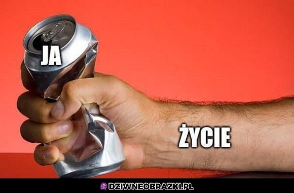 Tak to wygląda