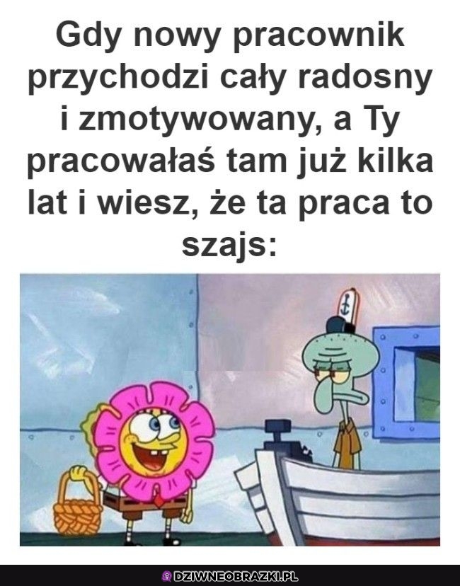 Kiedy przychodzi ktoś nowy