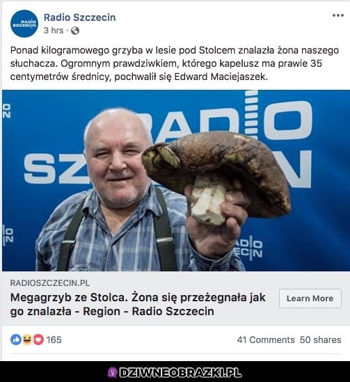 Megagrzyb ze stolca