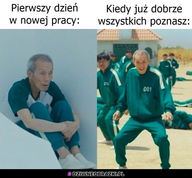 Praca taka jest