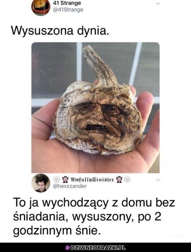 Dokładnie tak