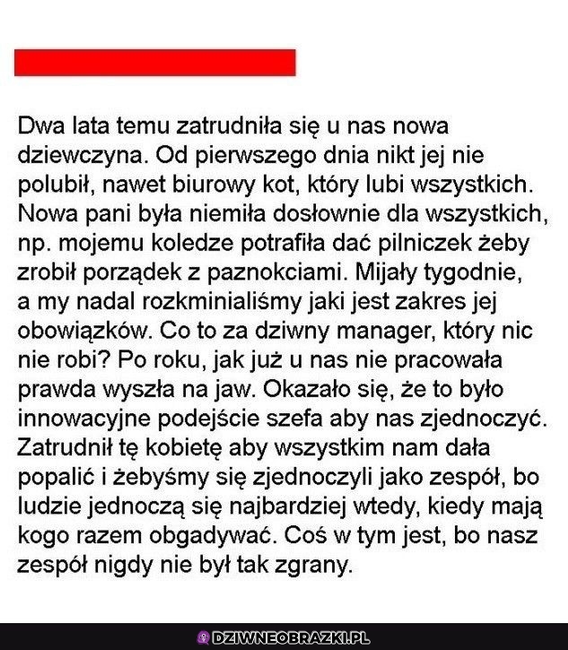 Dziwna strategia
