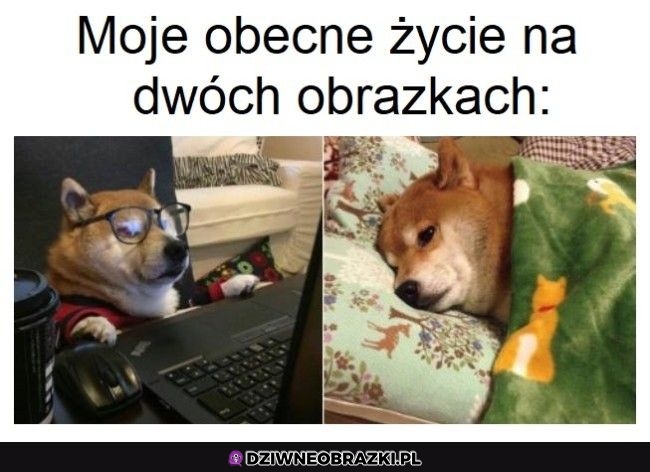 I końca nie widać