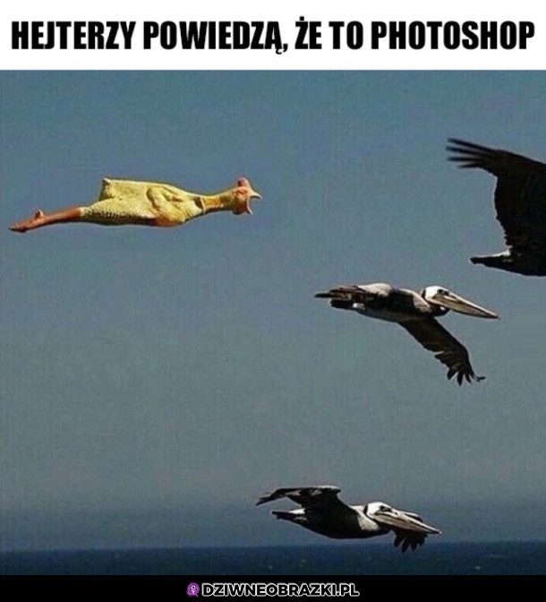 Hejterzy będą hejtować
