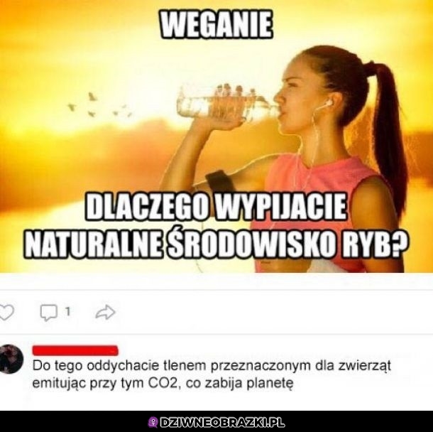 Dlaczego?