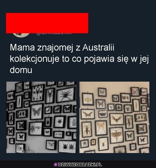 Ciekawa kolekcja