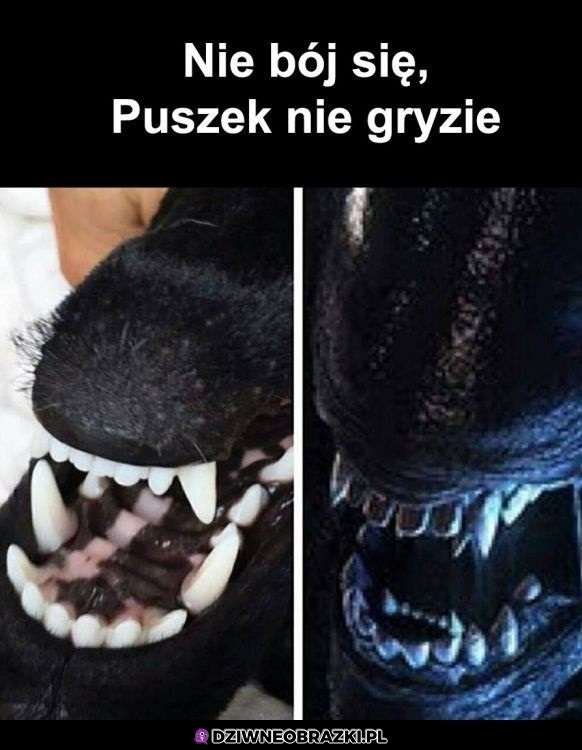 Niegroźny