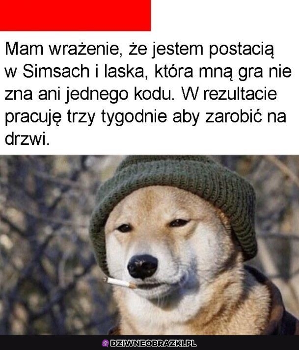 Takie mam wrażenie