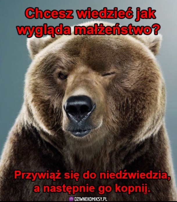 Mniej więcej tak to wygląda