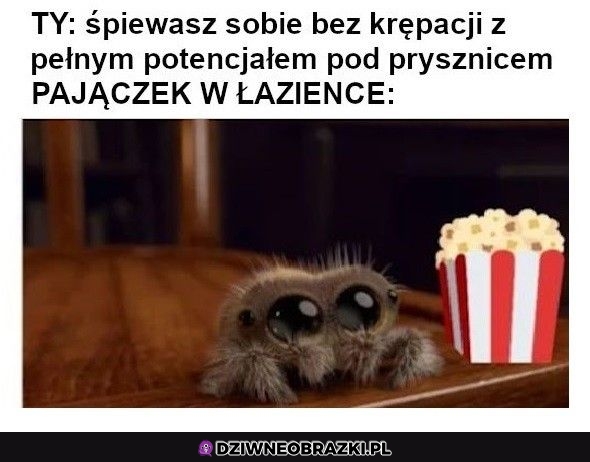 Najwierniejszy fan