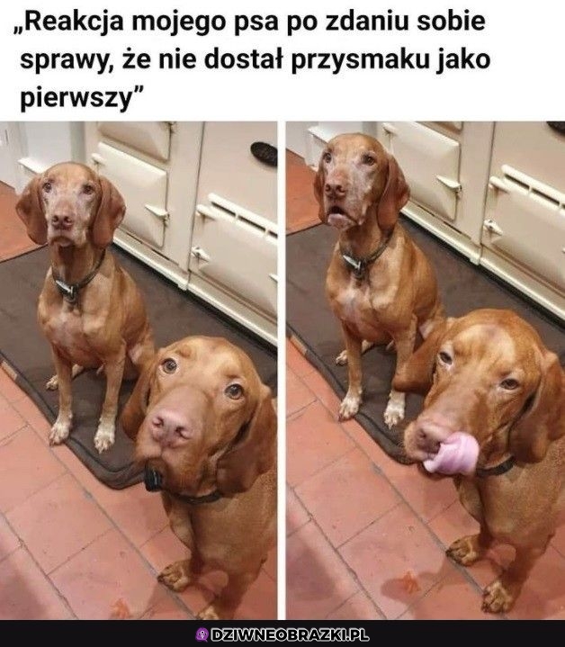 Ta reakcja