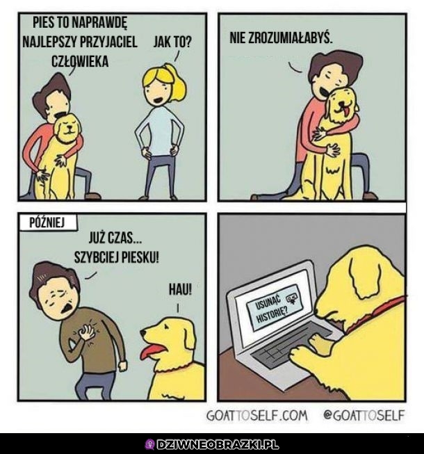 Najlepszy piesek