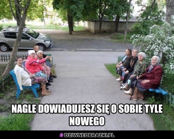 Lokalne centrum plotek