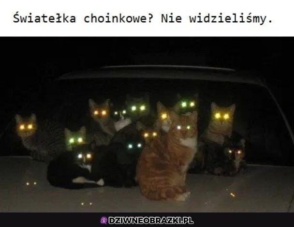 Jakie światełka?