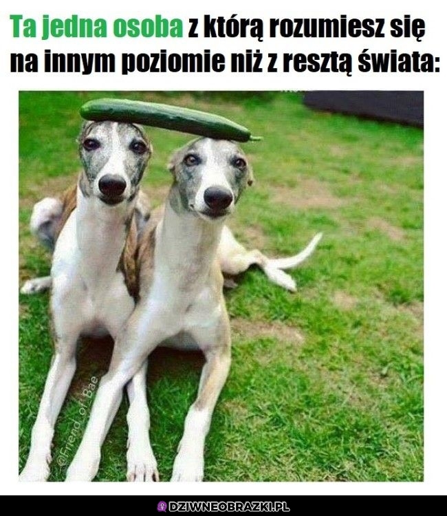 Ta jedna osoba