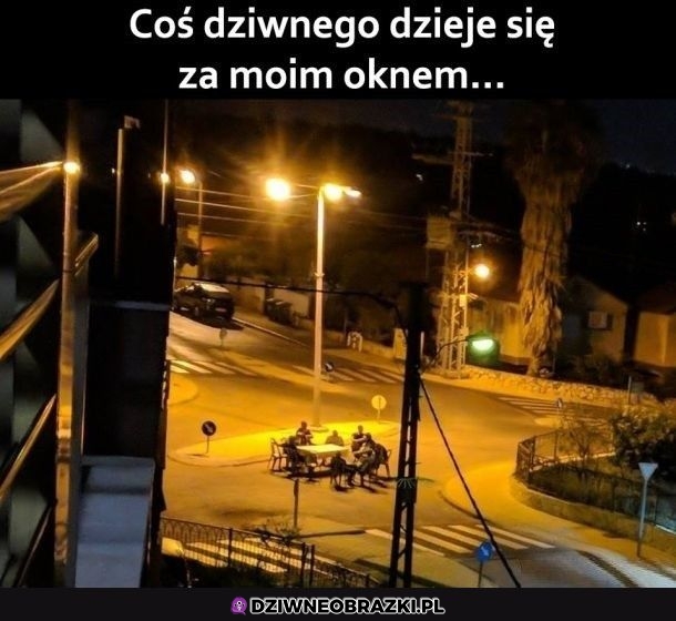 Zwyczajna libacja na skrzyżowaniu