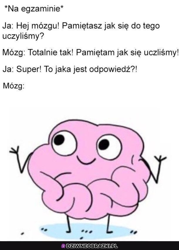 To jak z tą odpowiedzią?