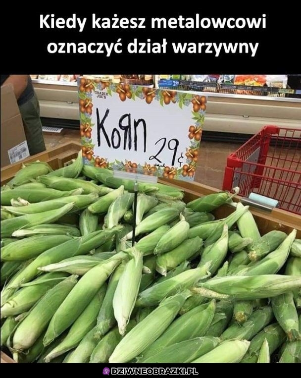 Korn