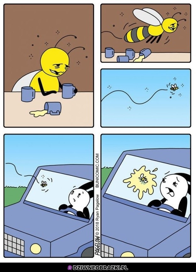 No cóż