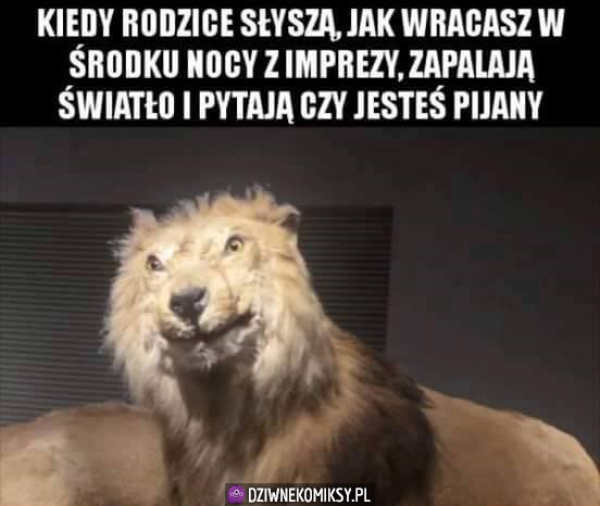 Szlucham?