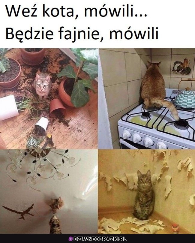 Oj tam oj tam