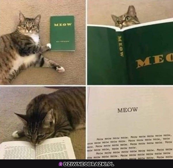 Cudowna literatura