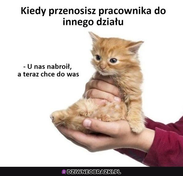 Przeniesienie pracownika