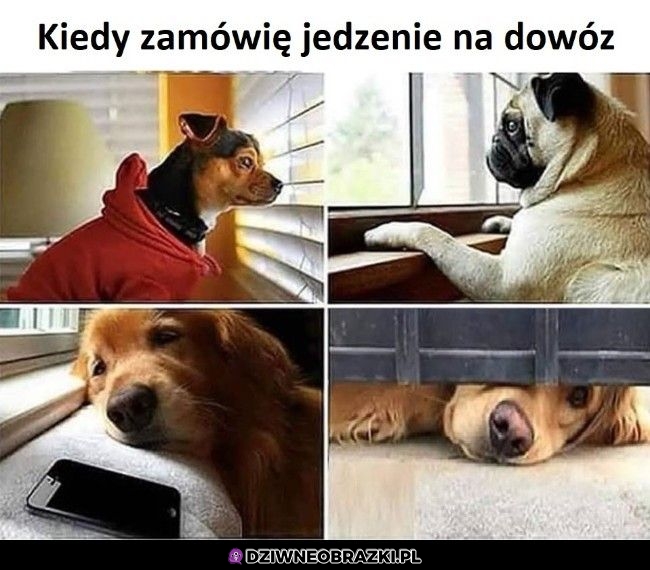 I teraz pora na czekanie