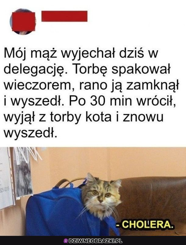 Kitku się spakował