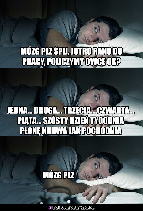 Mózg gdy zasypiasz