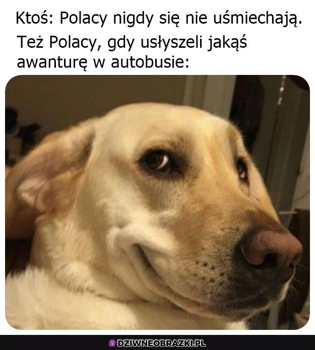 Uśmiech wyrażający więcej niż tysiąc słów :P 