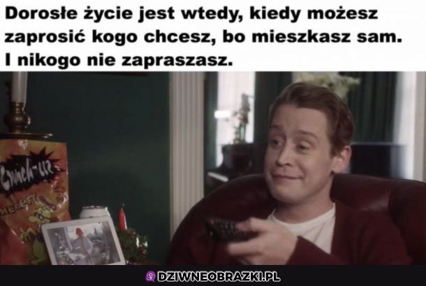 To jest dorosłość