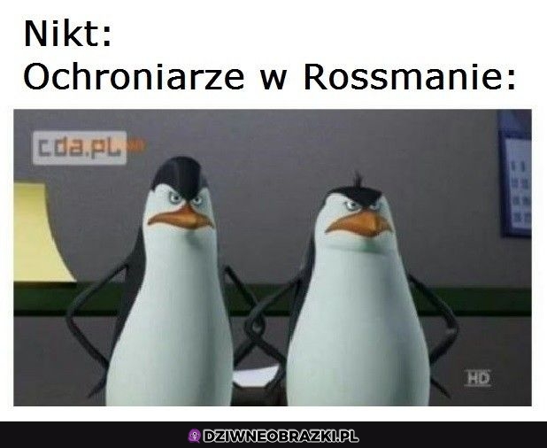 Strażnicy teksasu