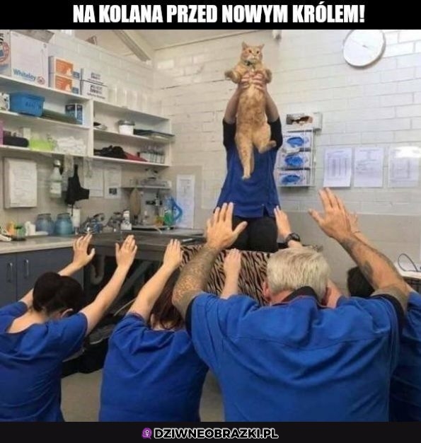 Na kolana!