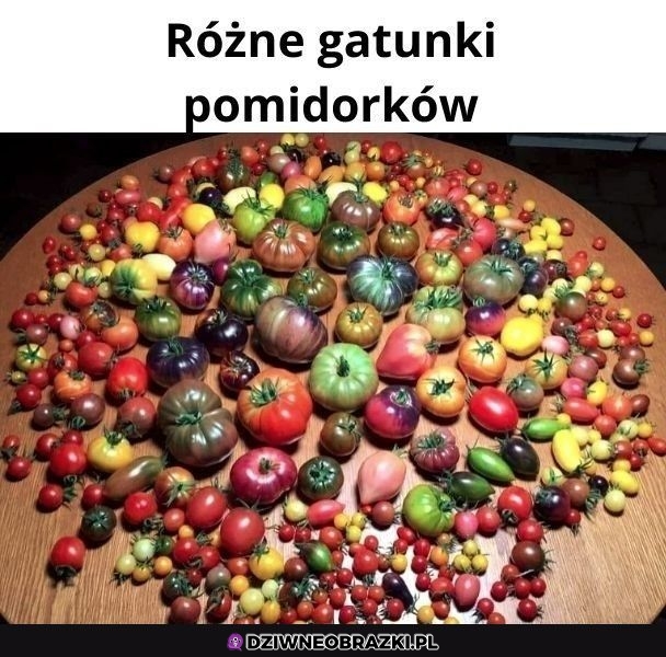 Wyglądają pysznie