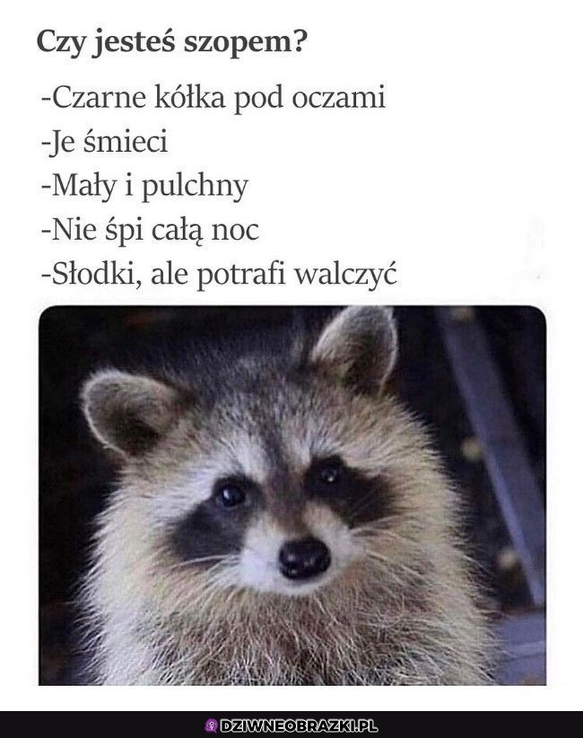 Czy jesteś nim?
